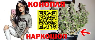 стаф Моздок