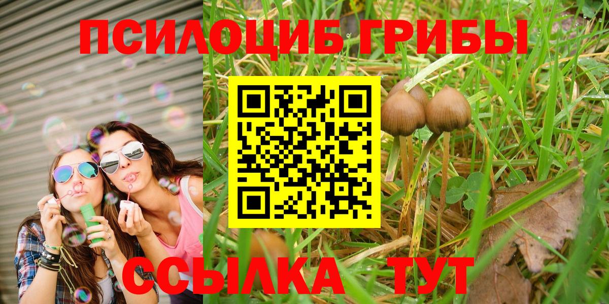 Псилоцибиновые грибы MAGIC MUSHROOMS  Вход с VPN  Шадринск 